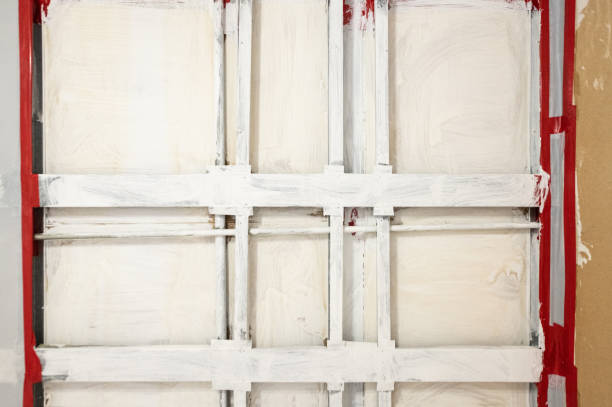 Best Mold Remediation for Healthcare Facilities  in Andrews, SC