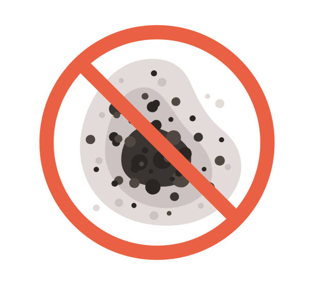Reliable Andrews, SC Mold Removal Solutions